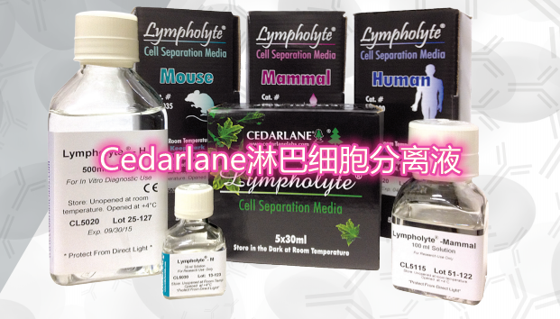 Cedarlane 淋巴细胞分离液，年底大促销！！！
