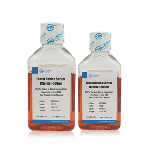 优级胎牛血清 Fetal Bovine Serum（FBS, Superfine）