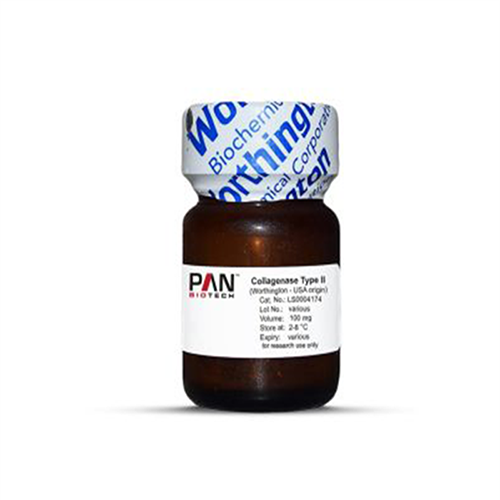 Collagenase, Type 2 (CLS-2)2型胶原酶